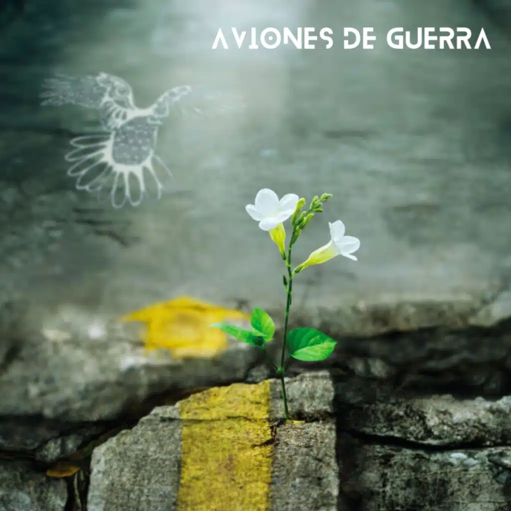 artist-header-image