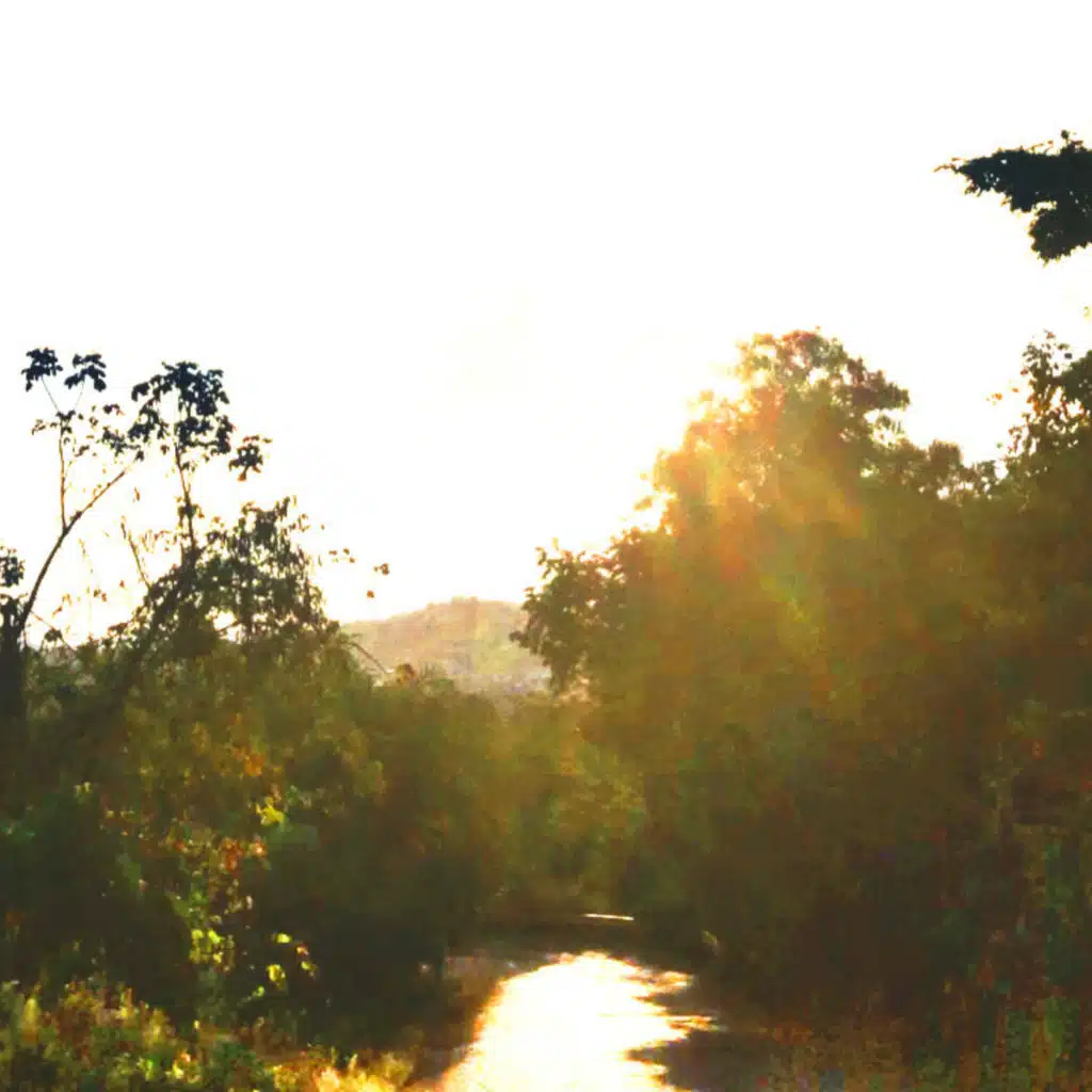 artist-header-image