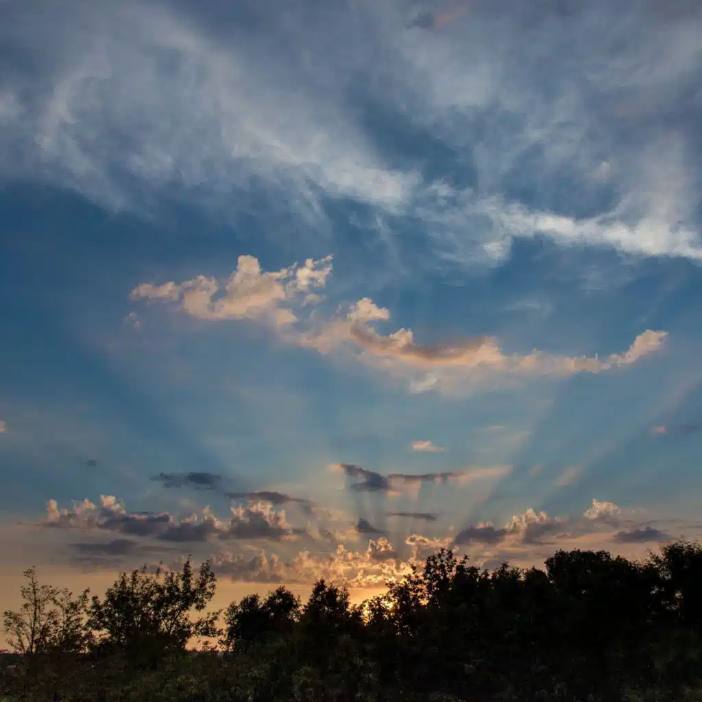 header-image