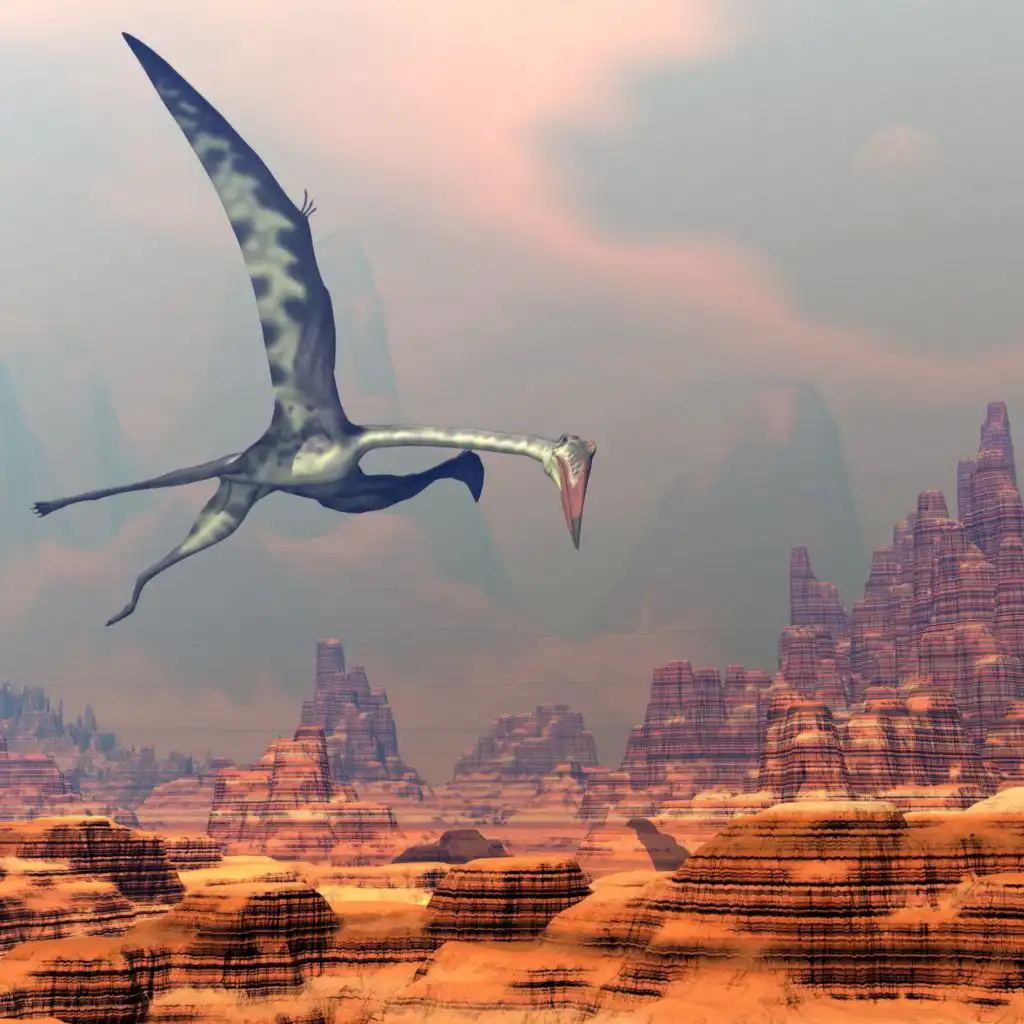 episode-header-image