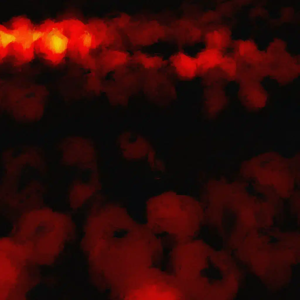 header-image