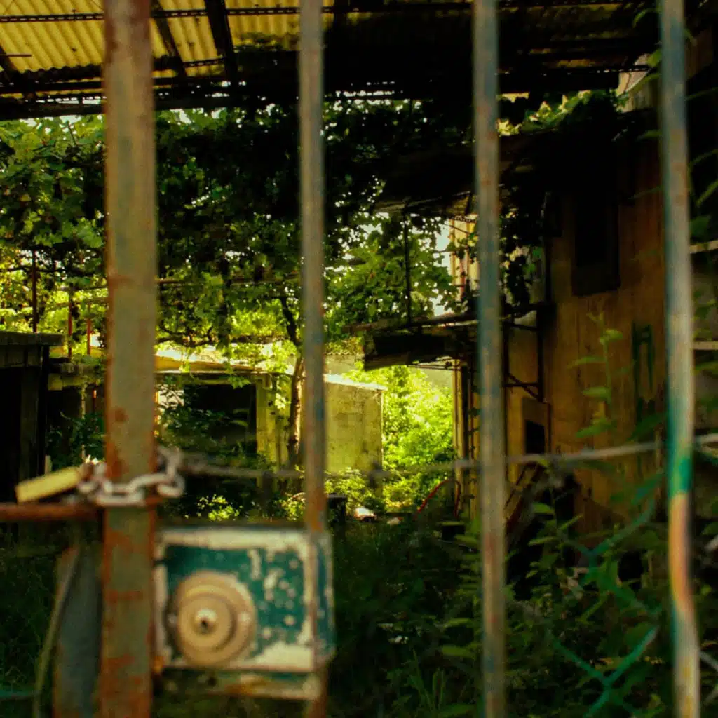 header-image