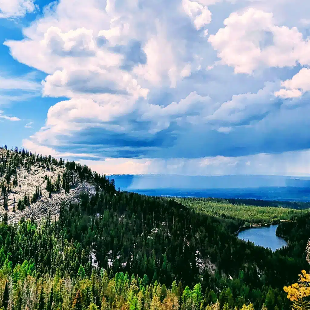 header-image