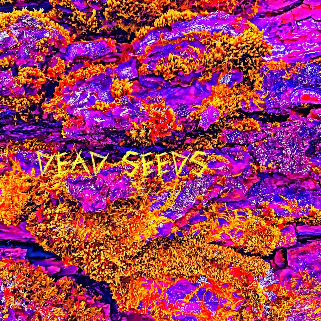 artist-header-image
