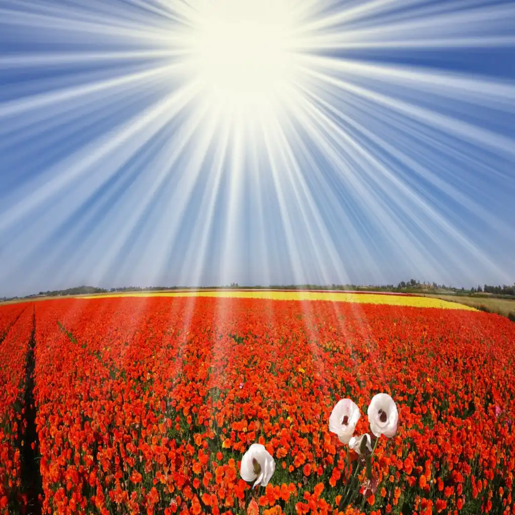 episode-header-image