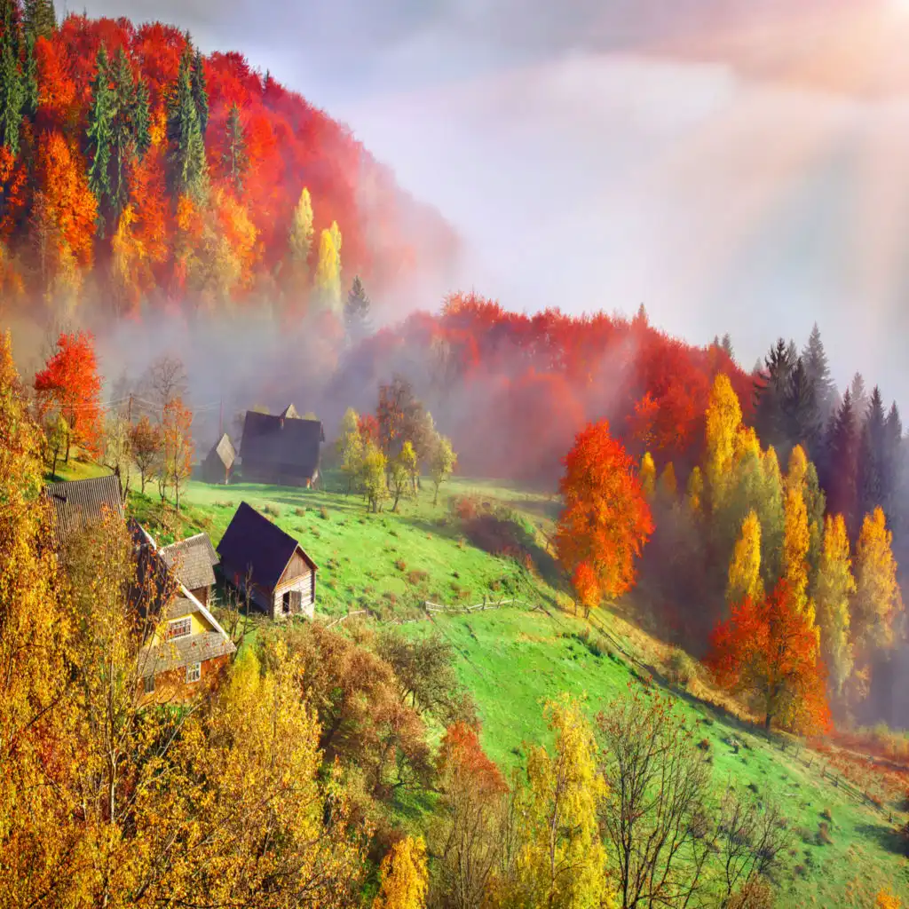 episode-header-image