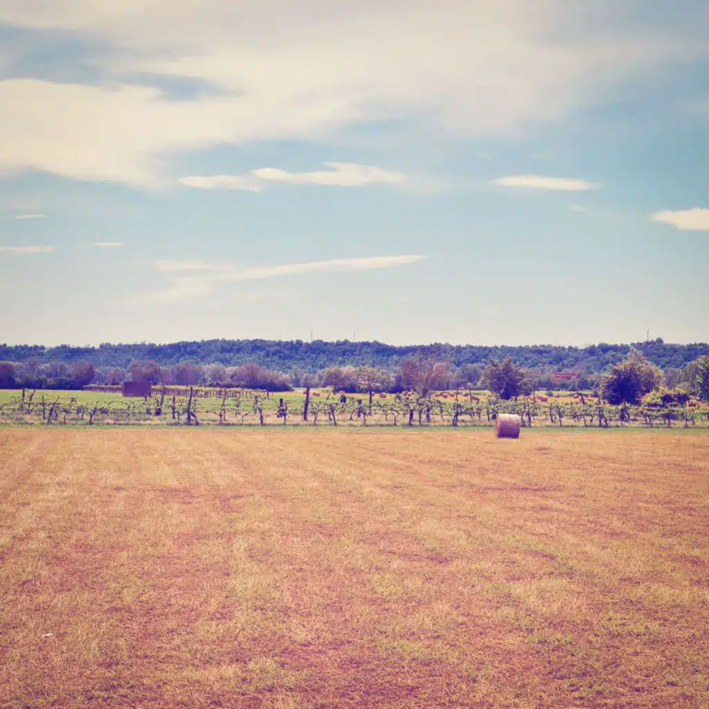 header-image