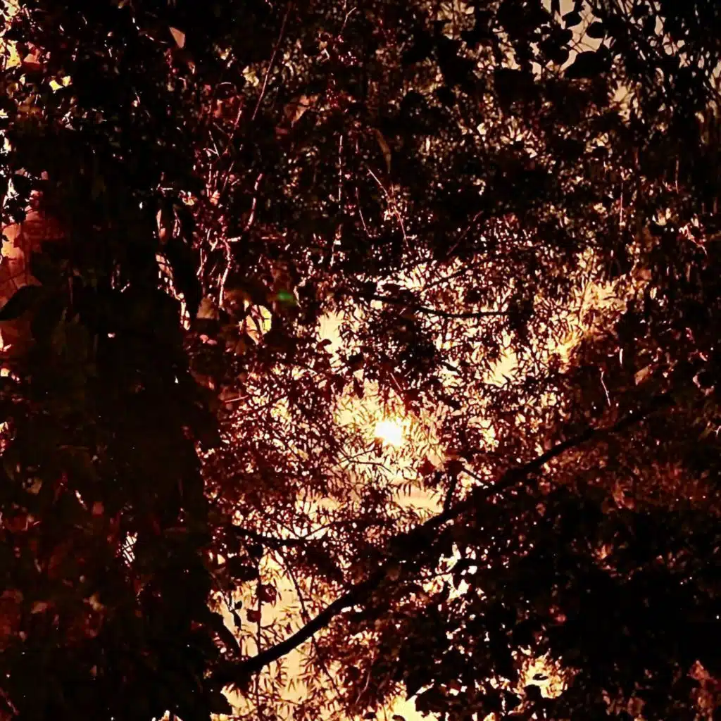 header-image