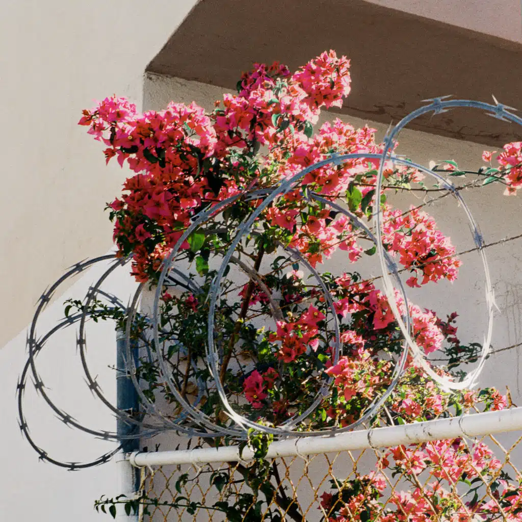 header-image
