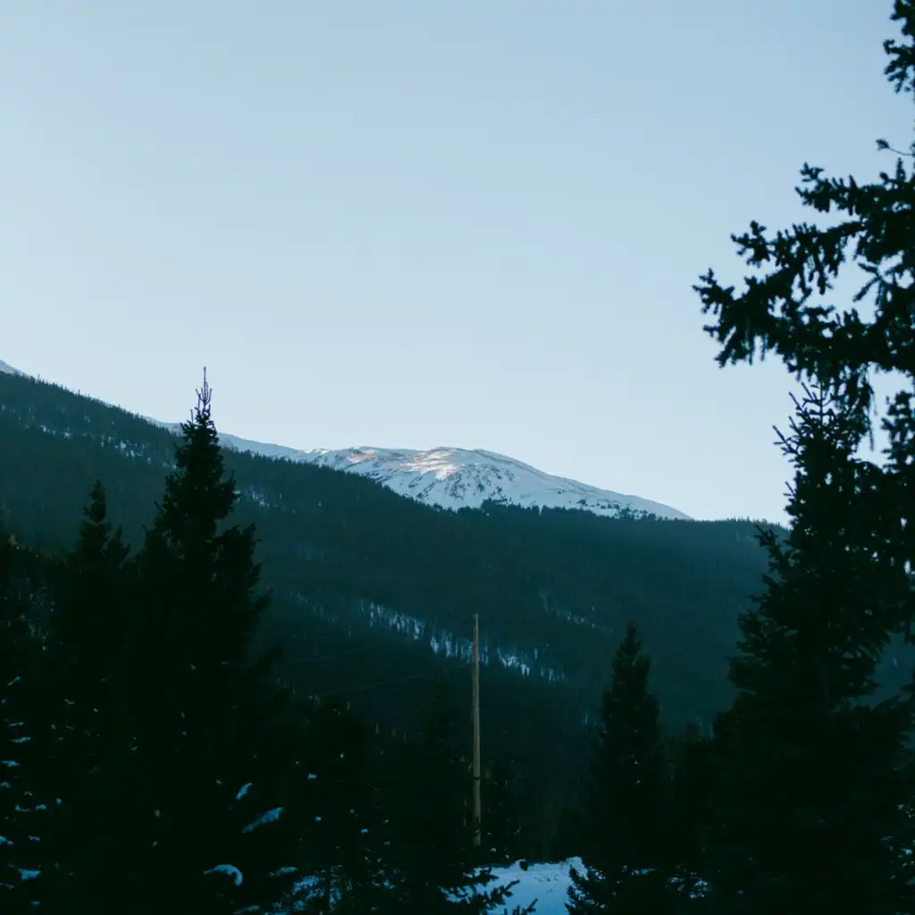 header-image