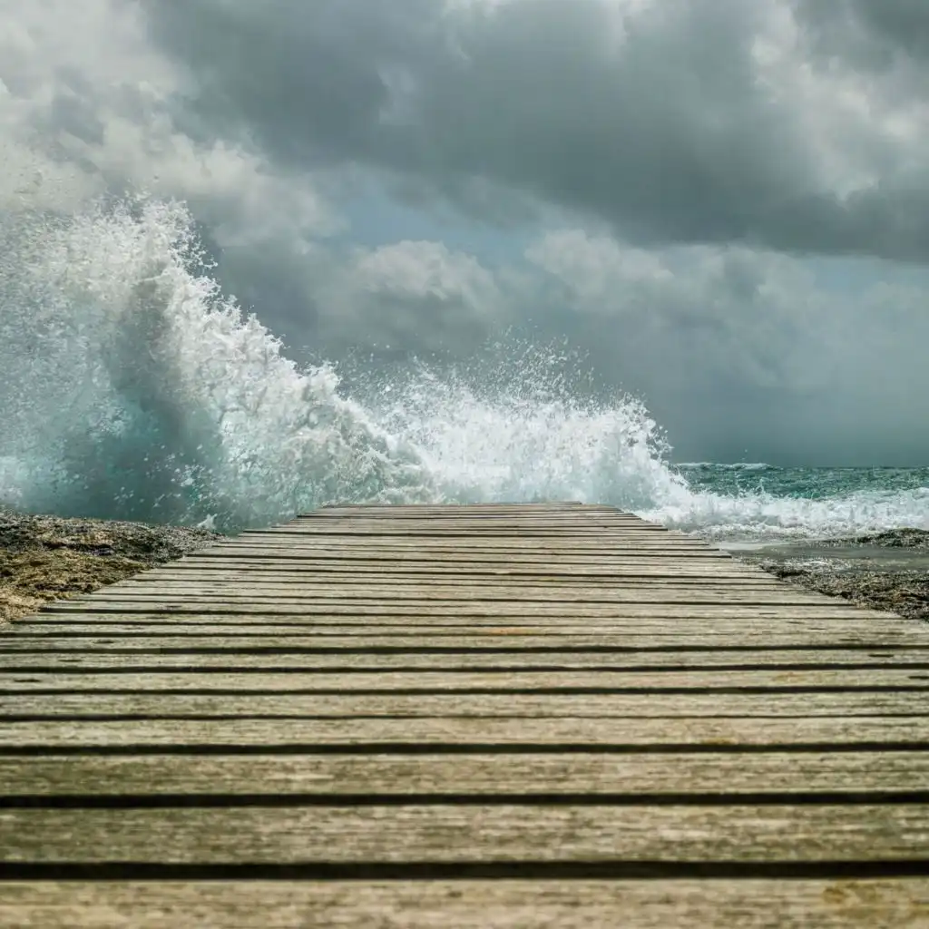 header-image