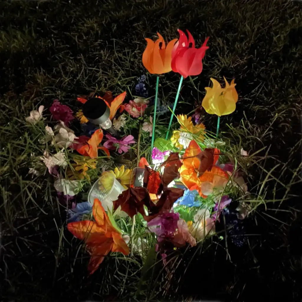 artist-header-image