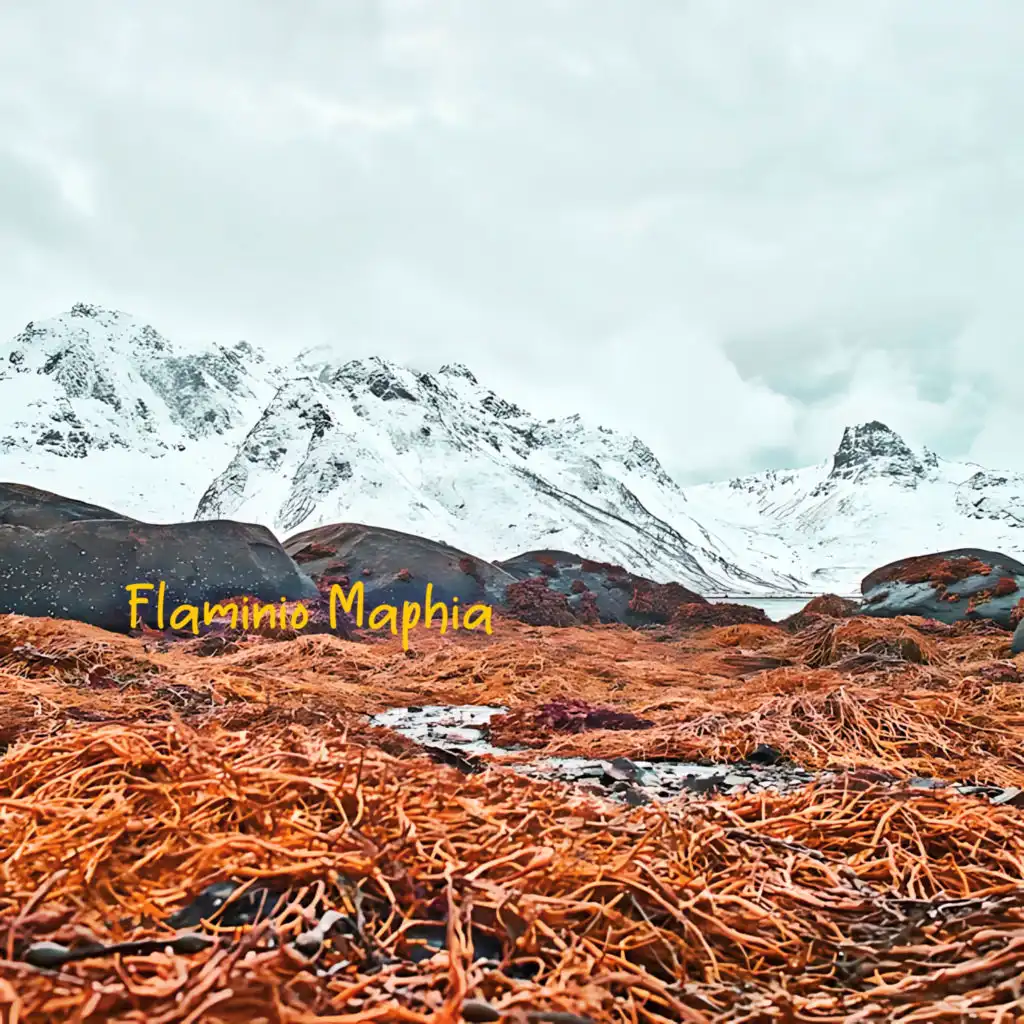 artist-header-image