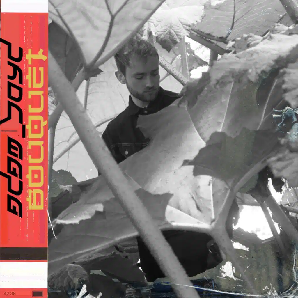 artist-header-image