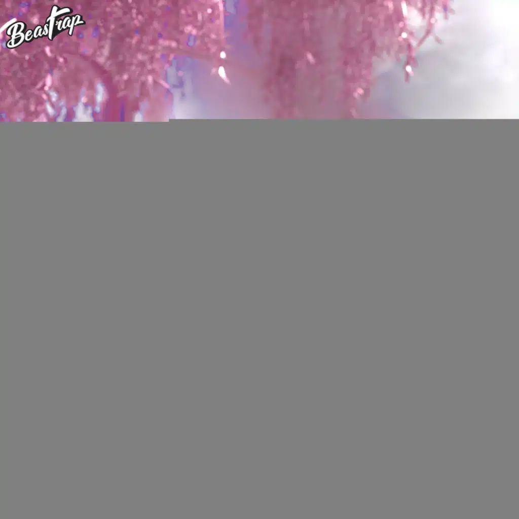 artist-header-image