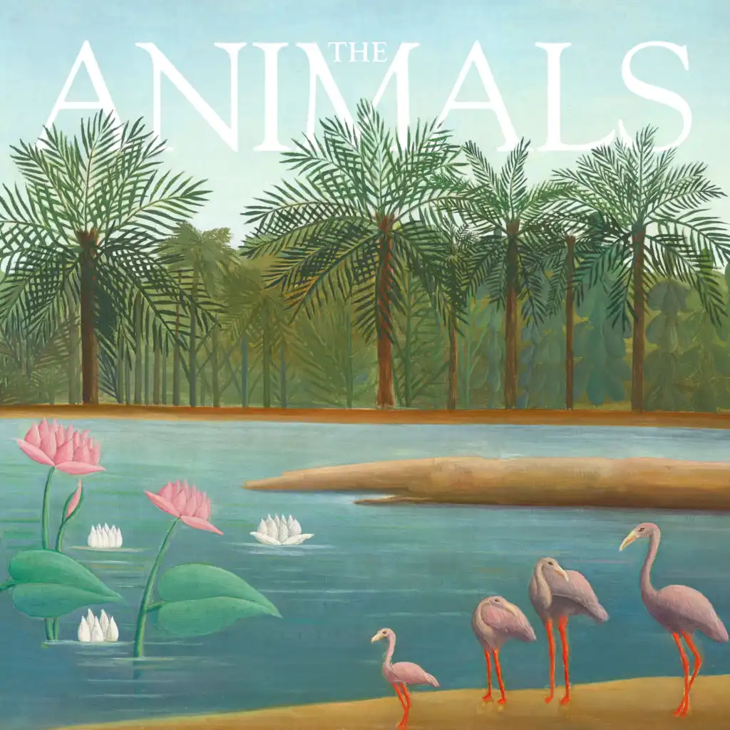 episode-header-image