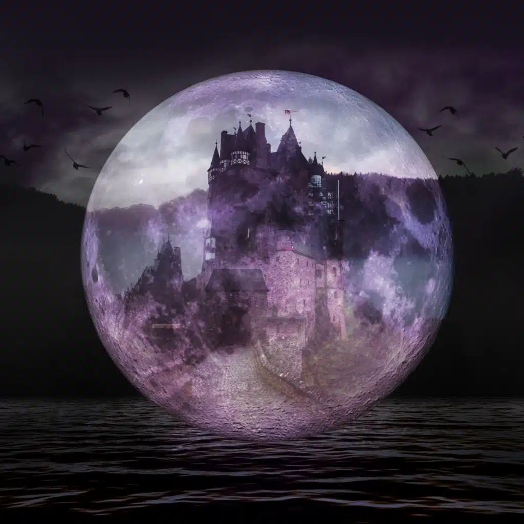 artist-header-image