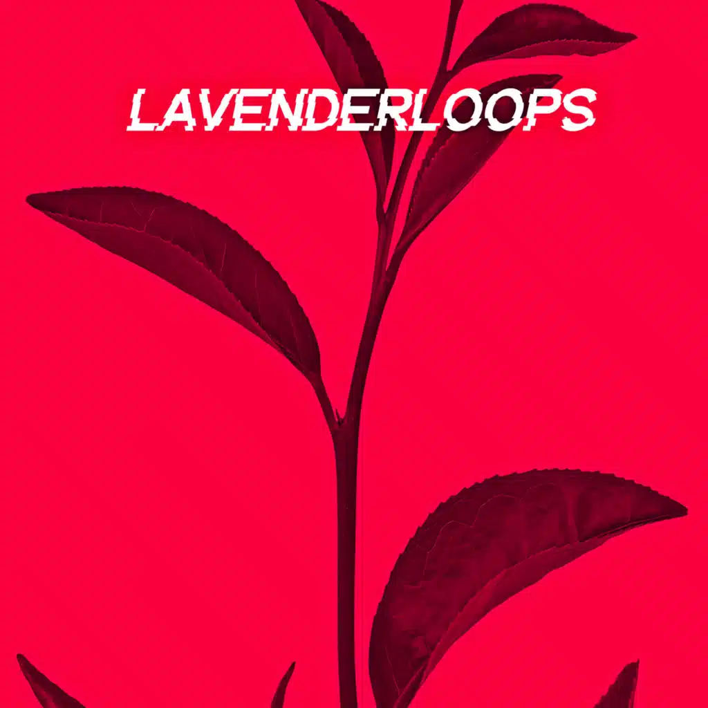 artist-header-image