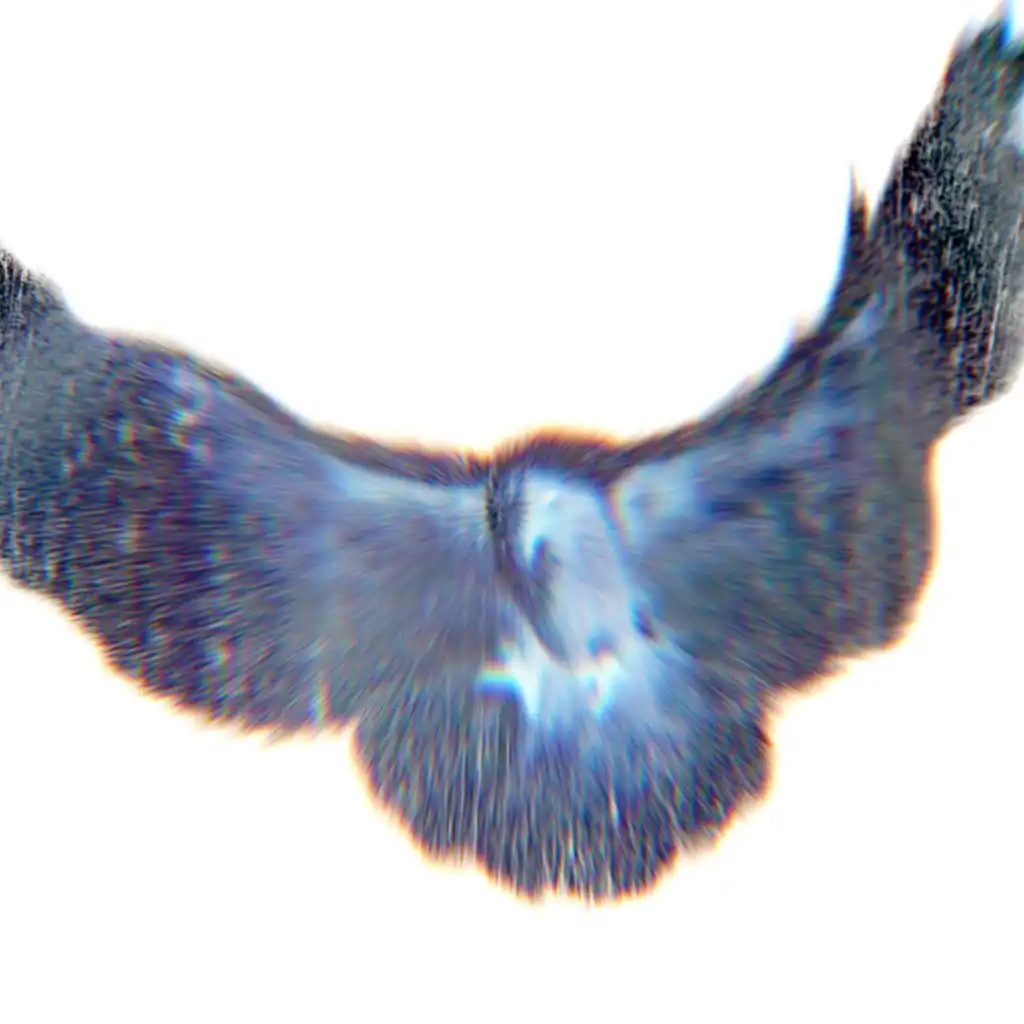 header-image