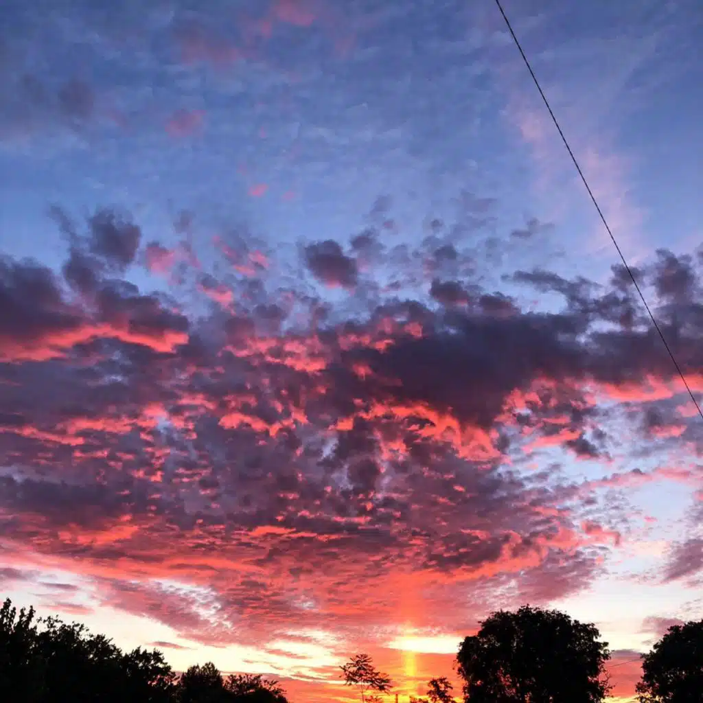 header-image