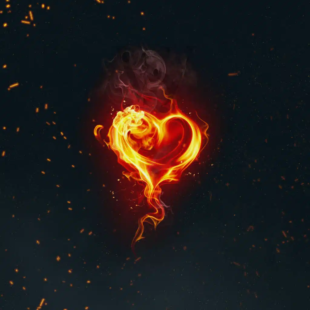 artist-header-image