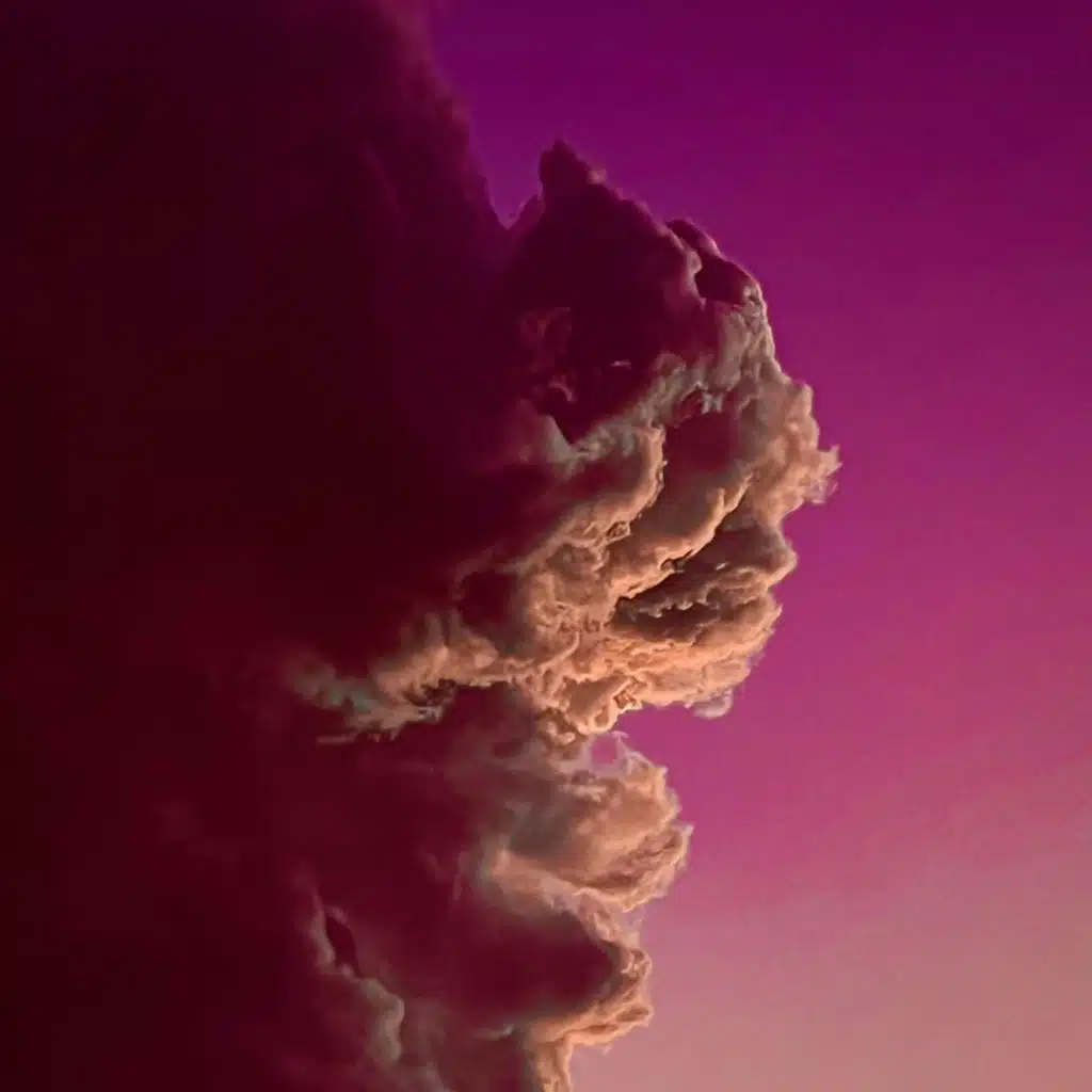 artist-header-image