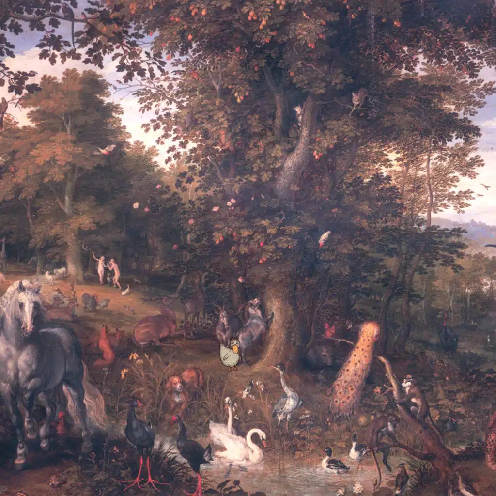 header-image
