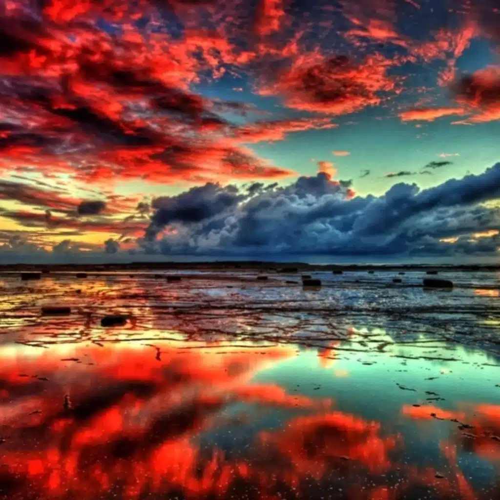 header-image