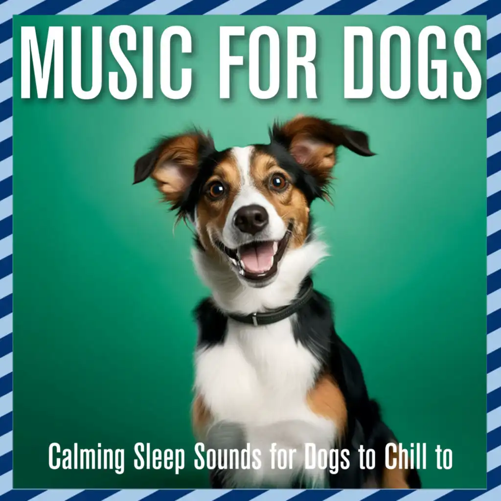 Dog music dreams and best sale relaxmydog puppy sleep music