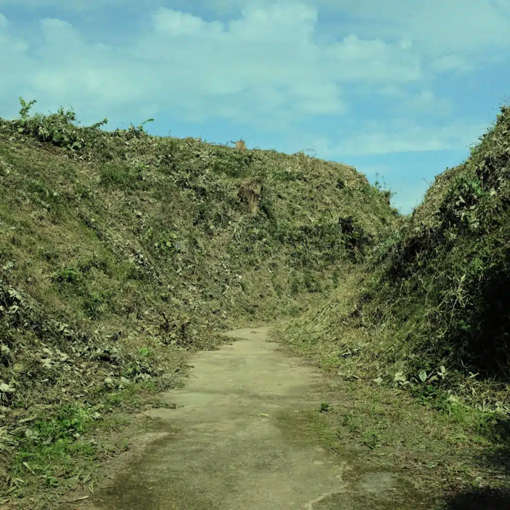 header-image