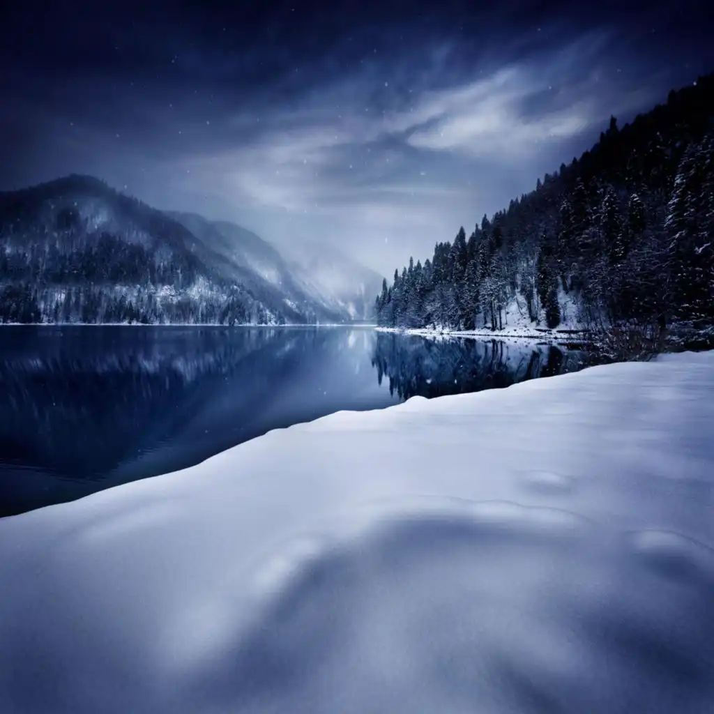 artist-header-image