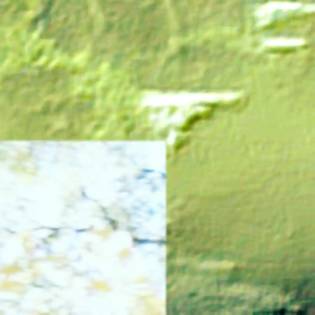 artist-header-image