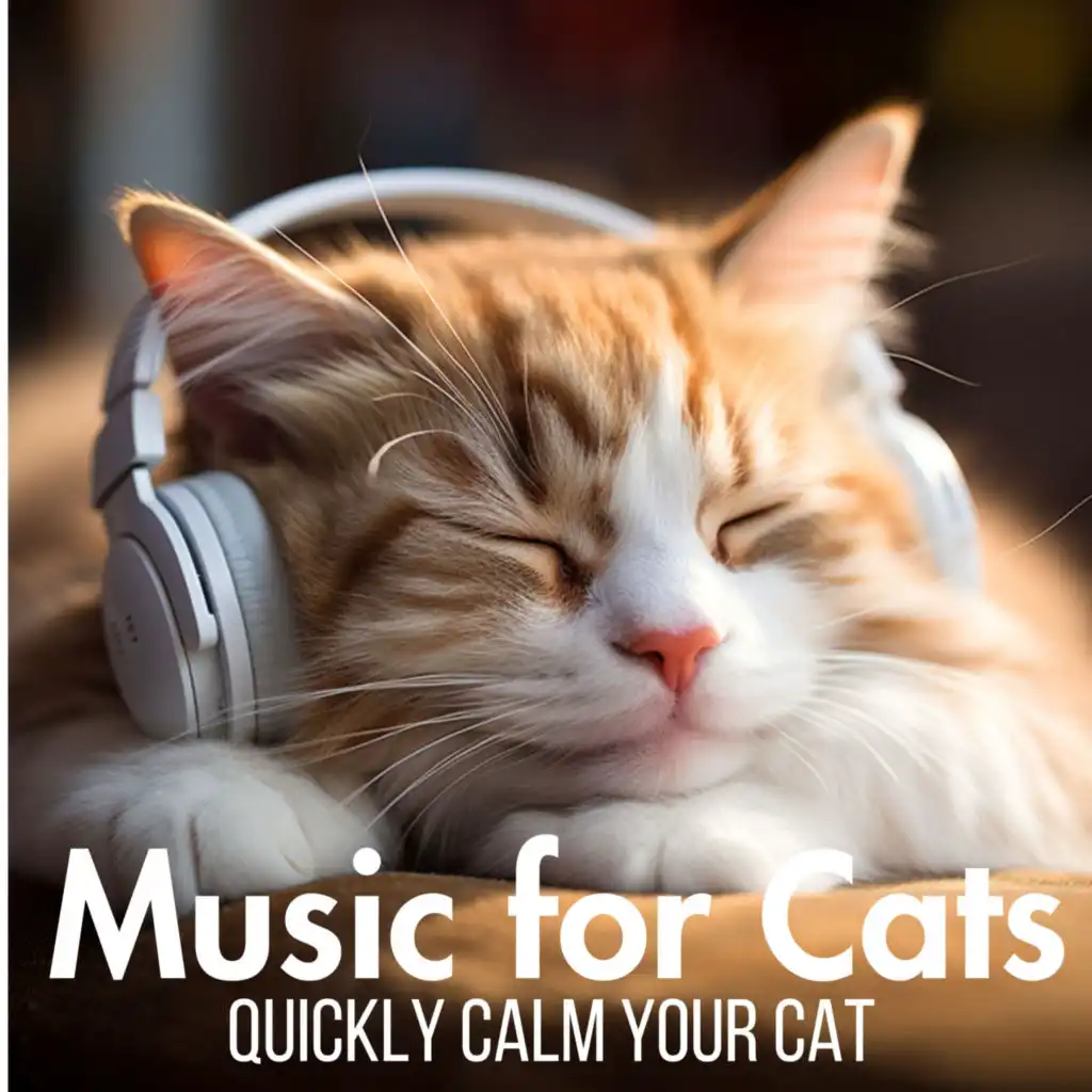 Calm my cat sales music