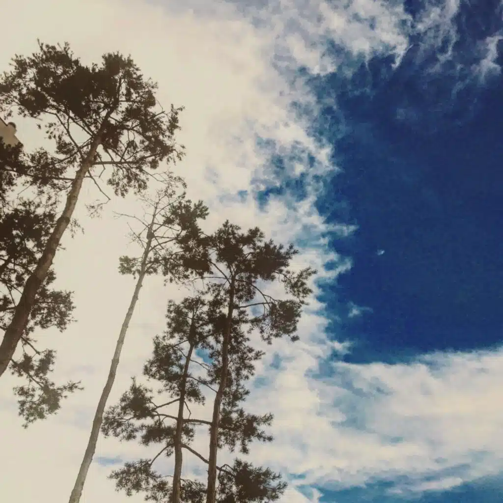 header-image