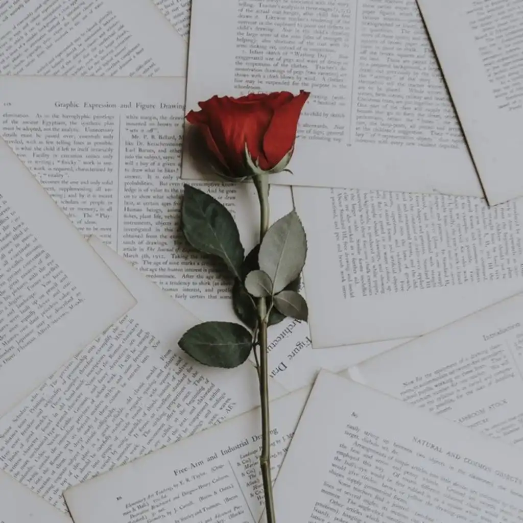 header-image