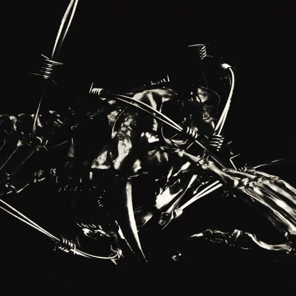 artist-header-image