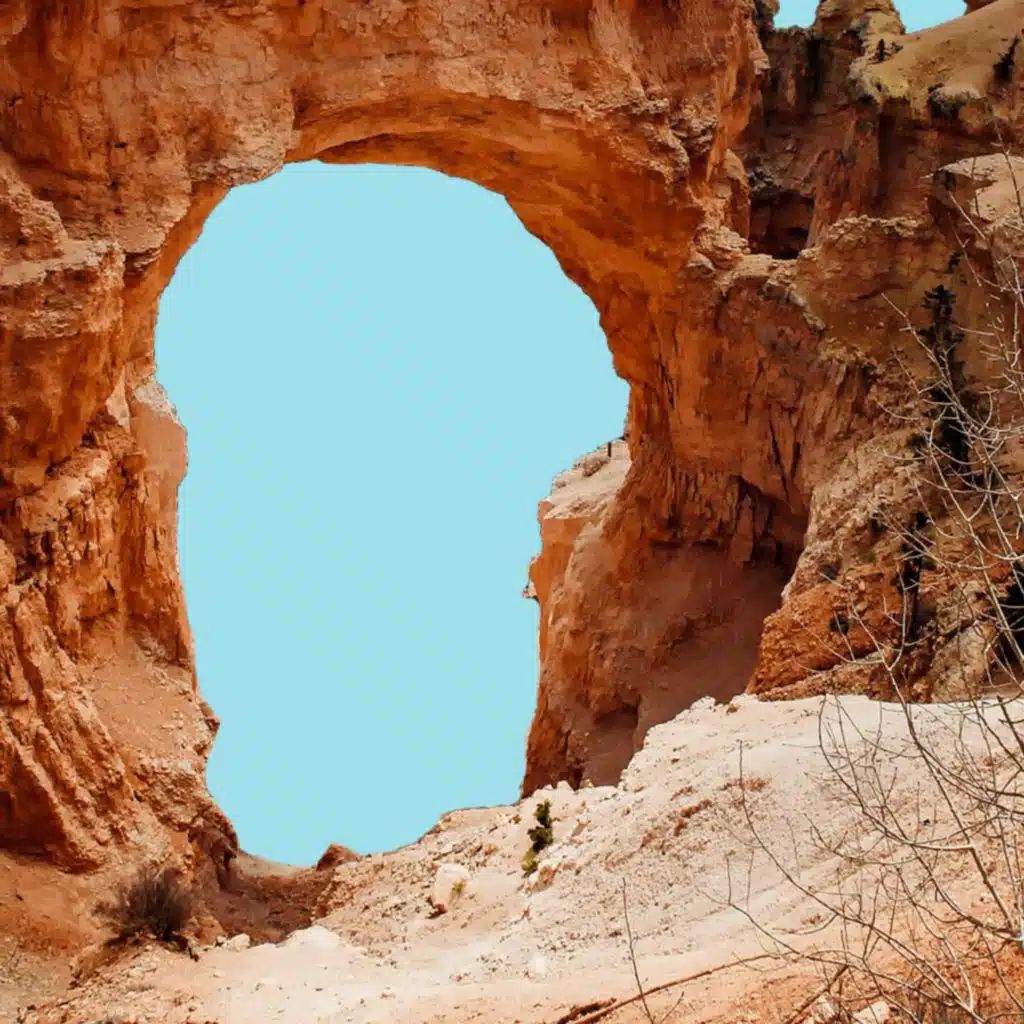 artist-header-image