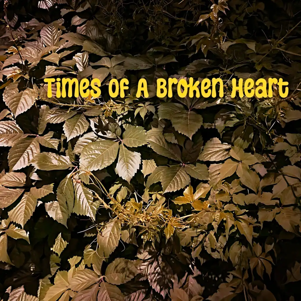 artist-header-image