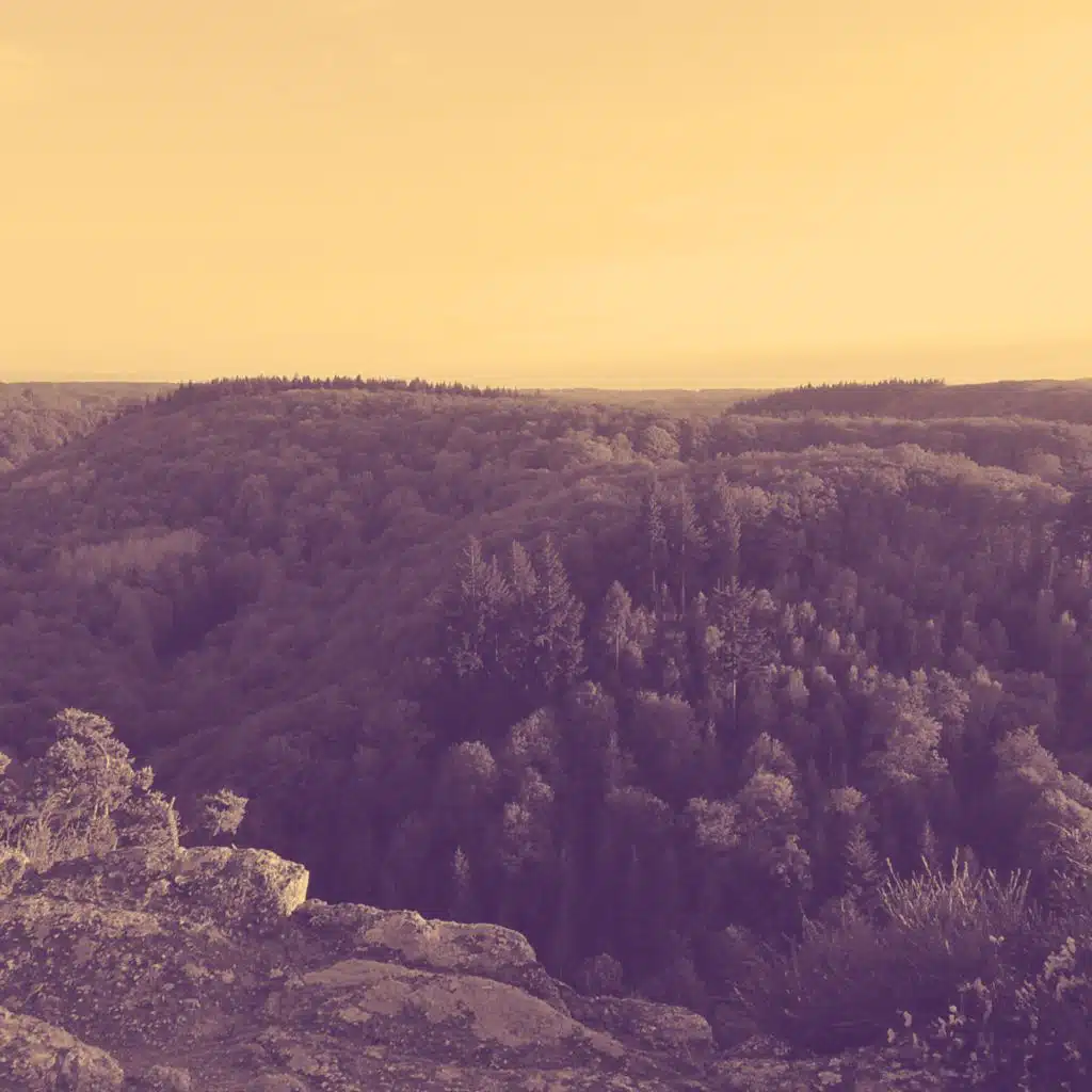 header-image