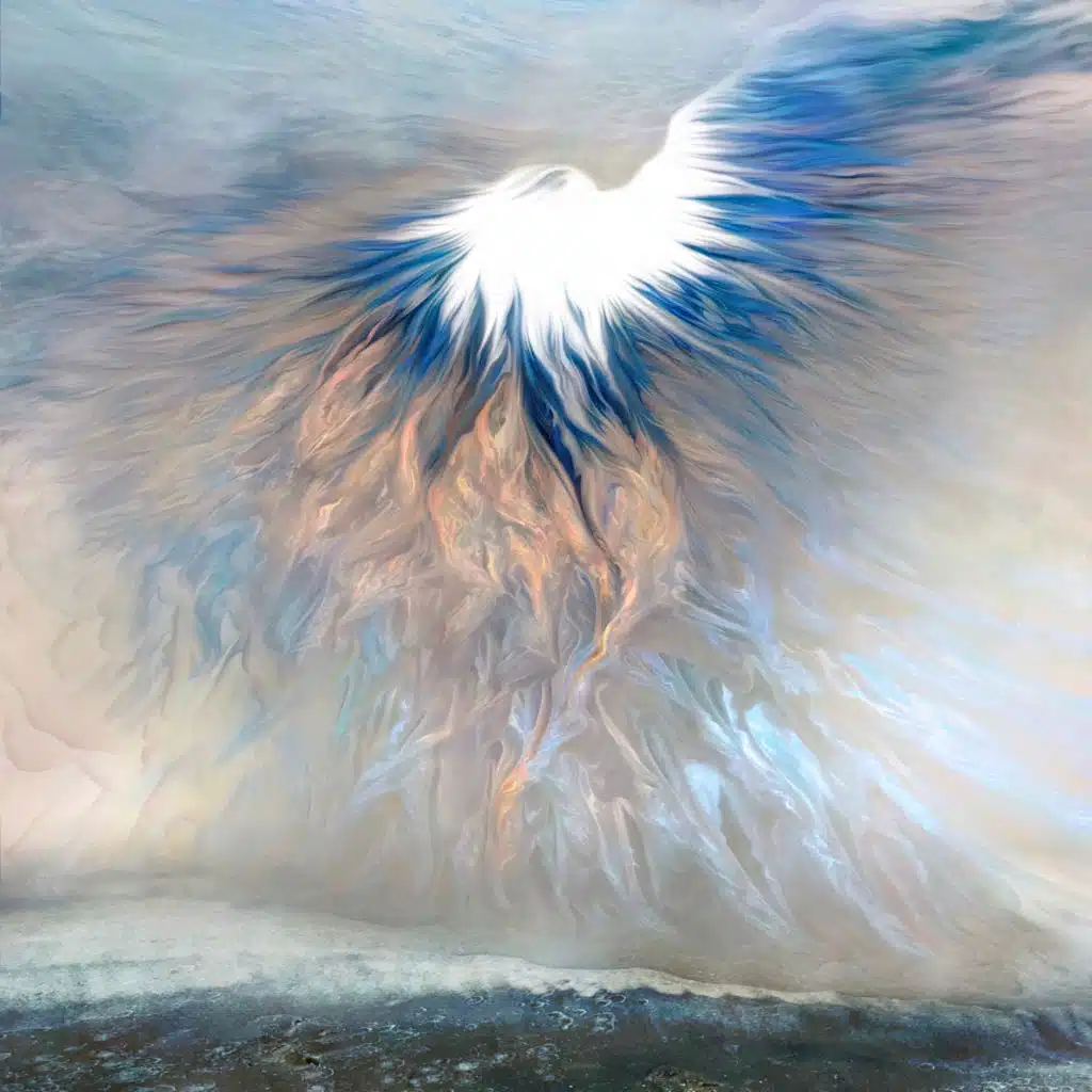 artist-header-image