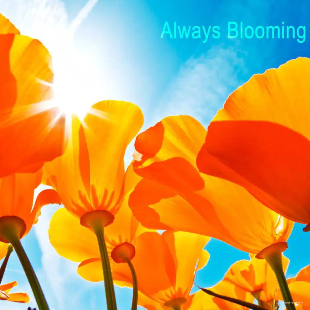 header-image