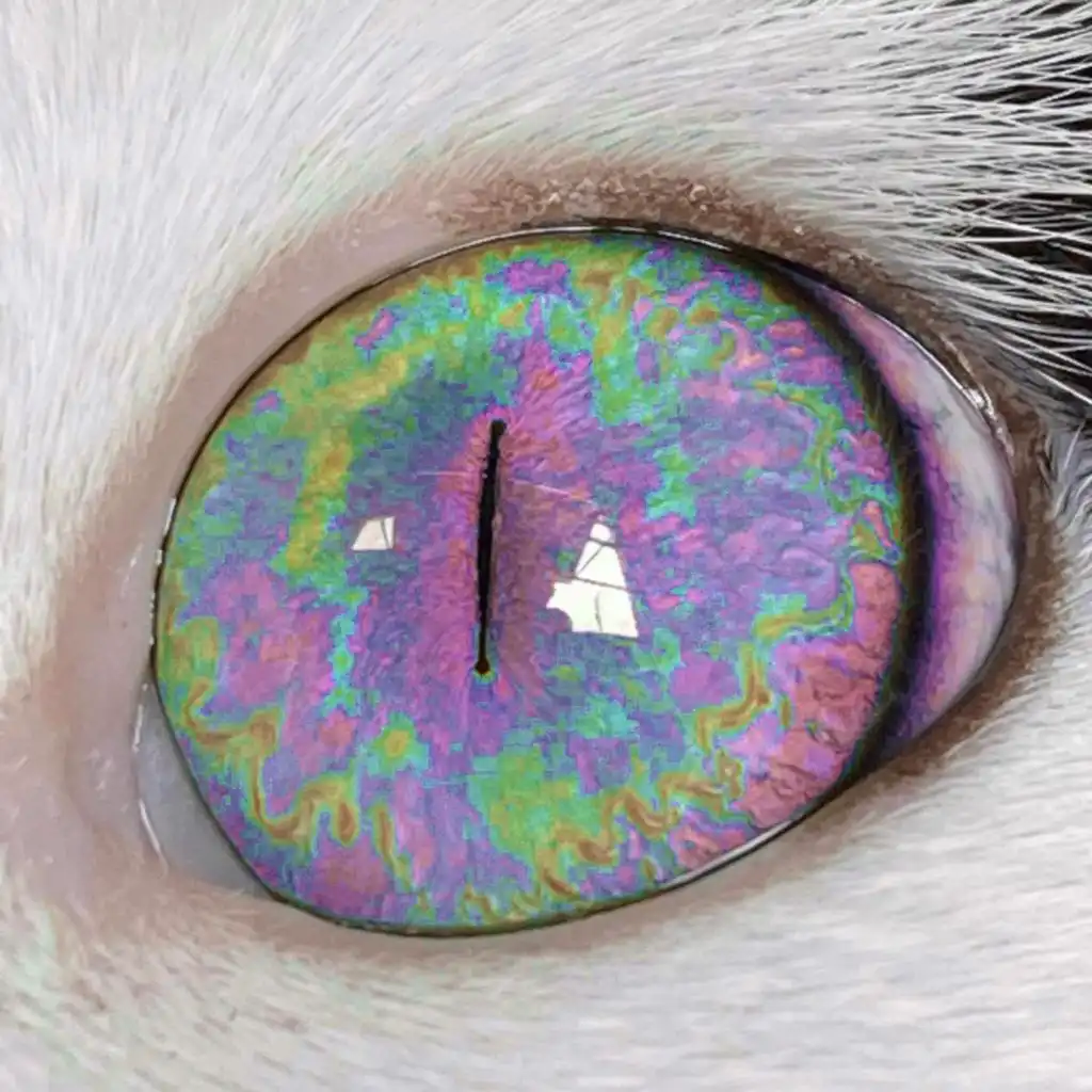 artist-header-image