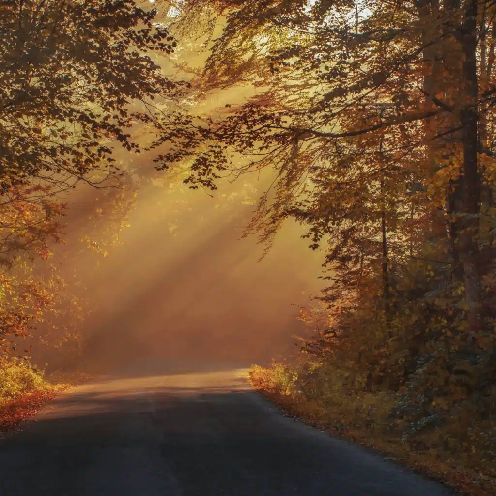 header-image