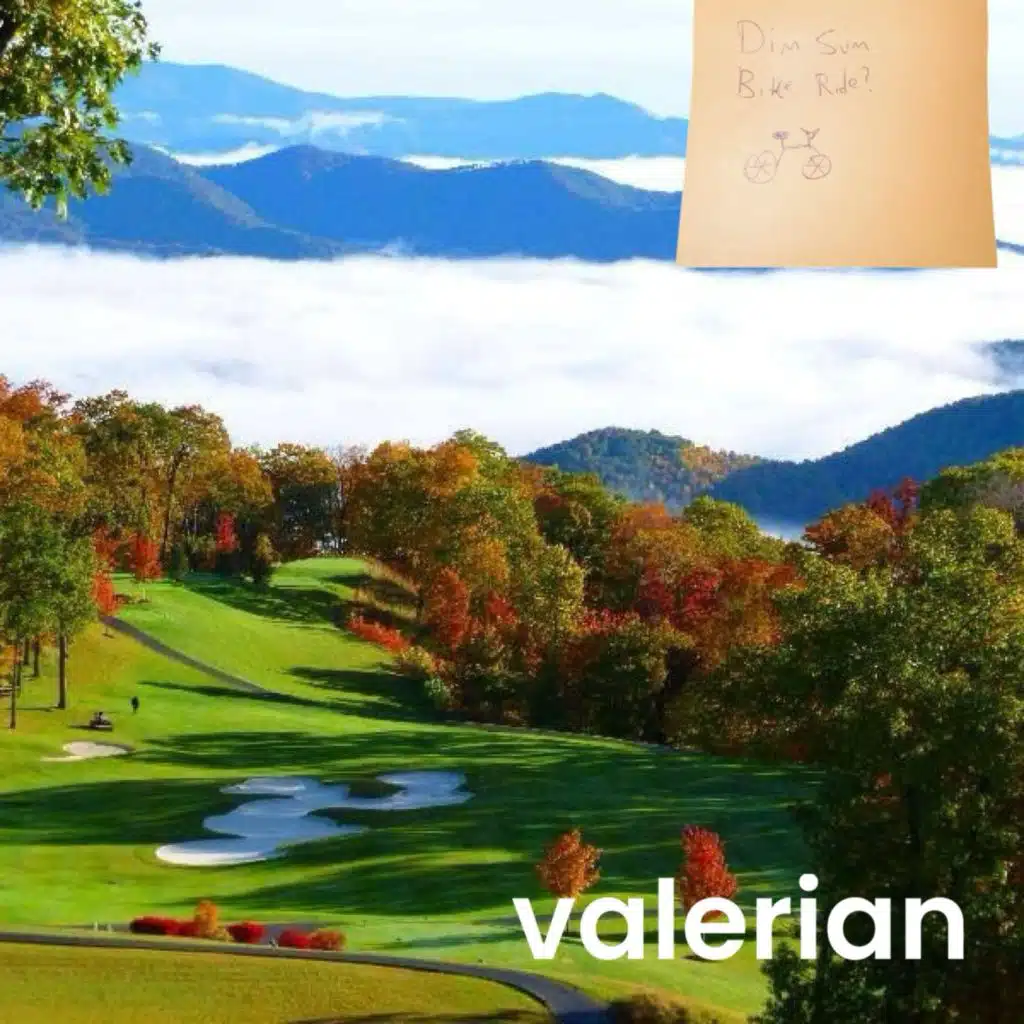 header-image