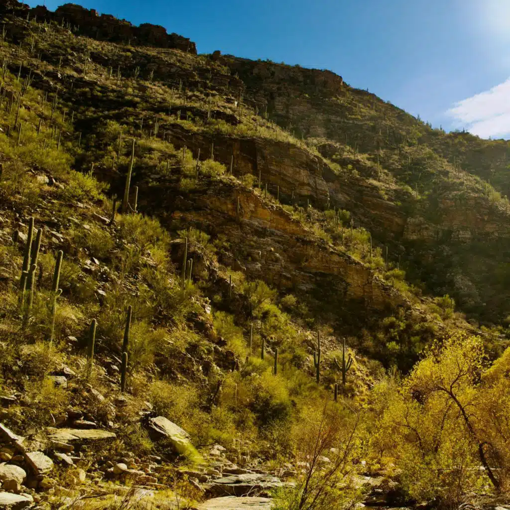 header-image