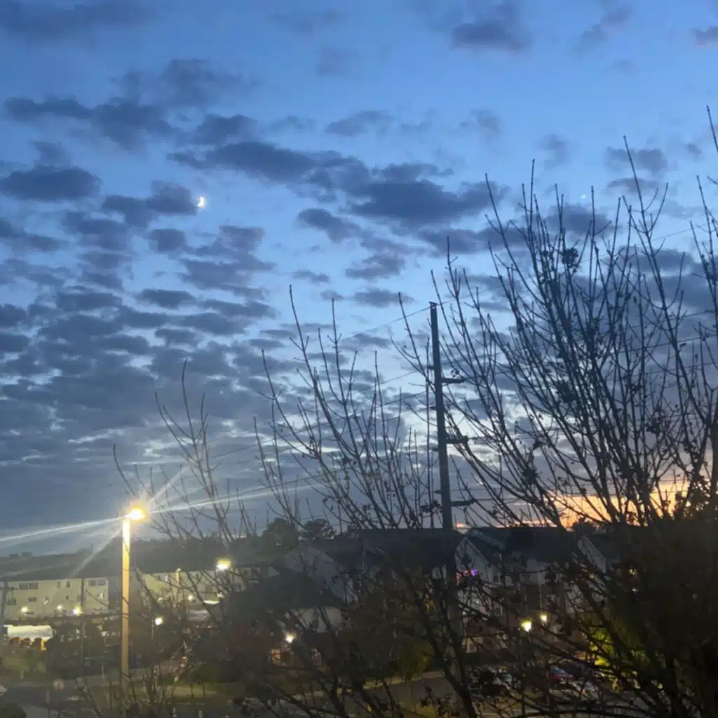 header-image