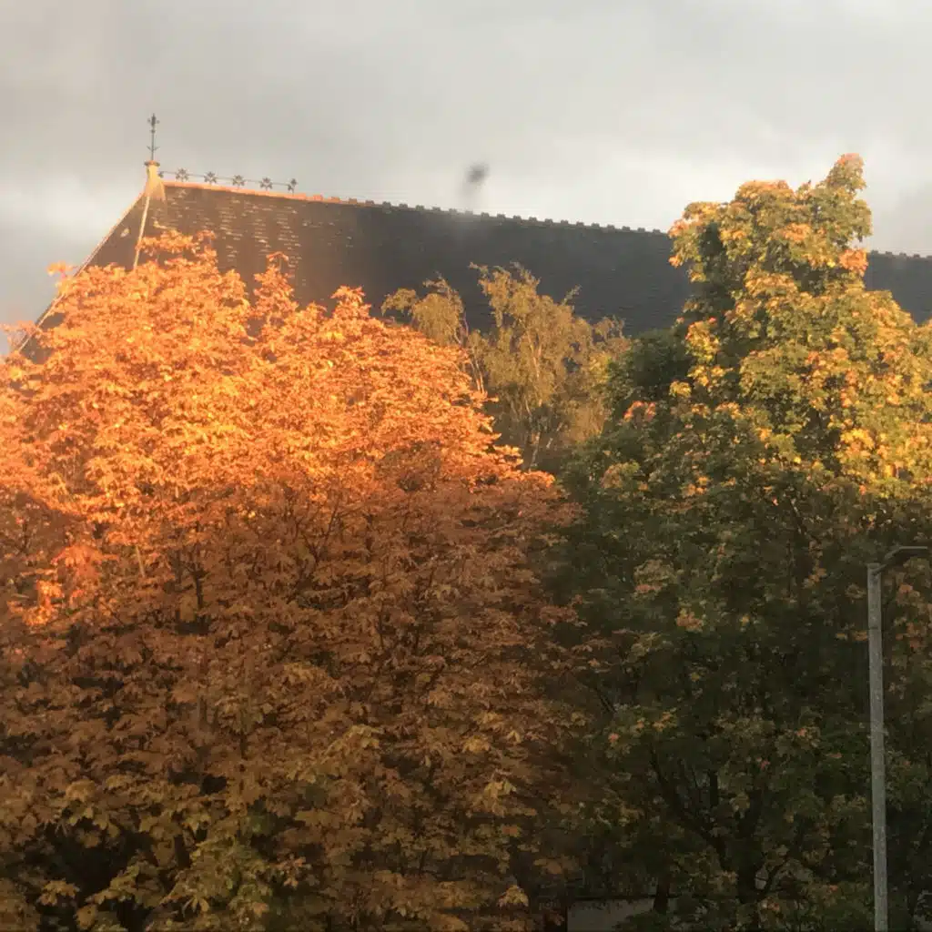 header-image