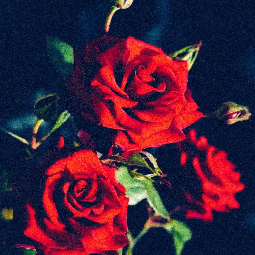 artist-header-image