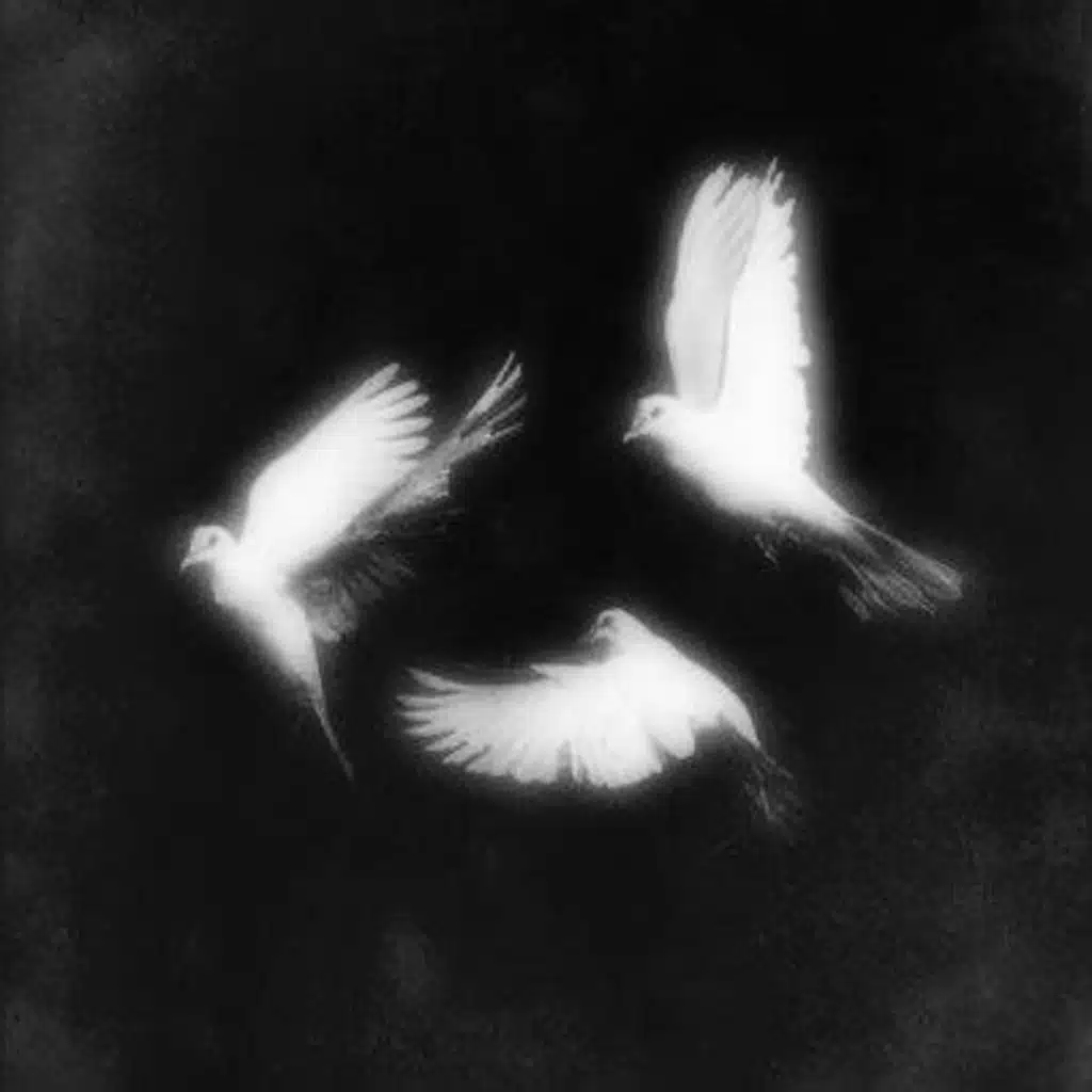 artist-header-image