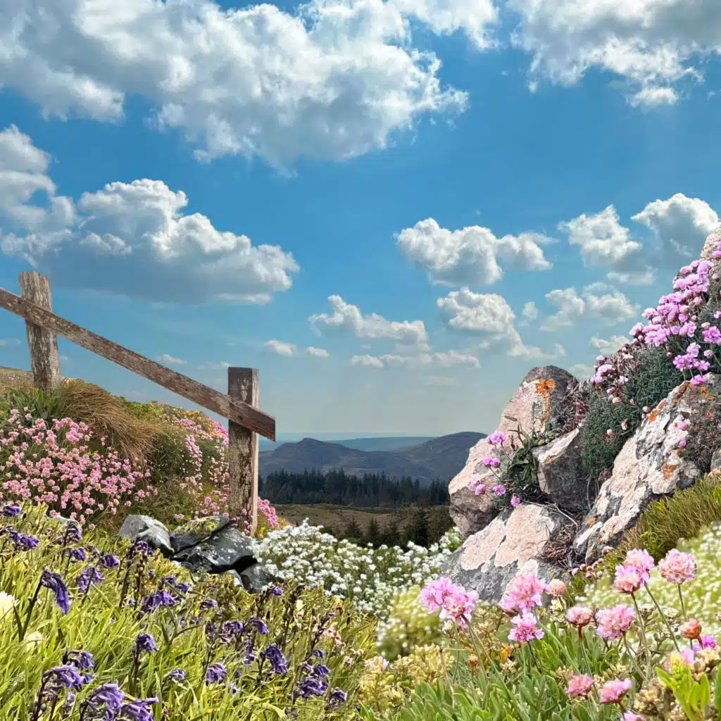 header-image